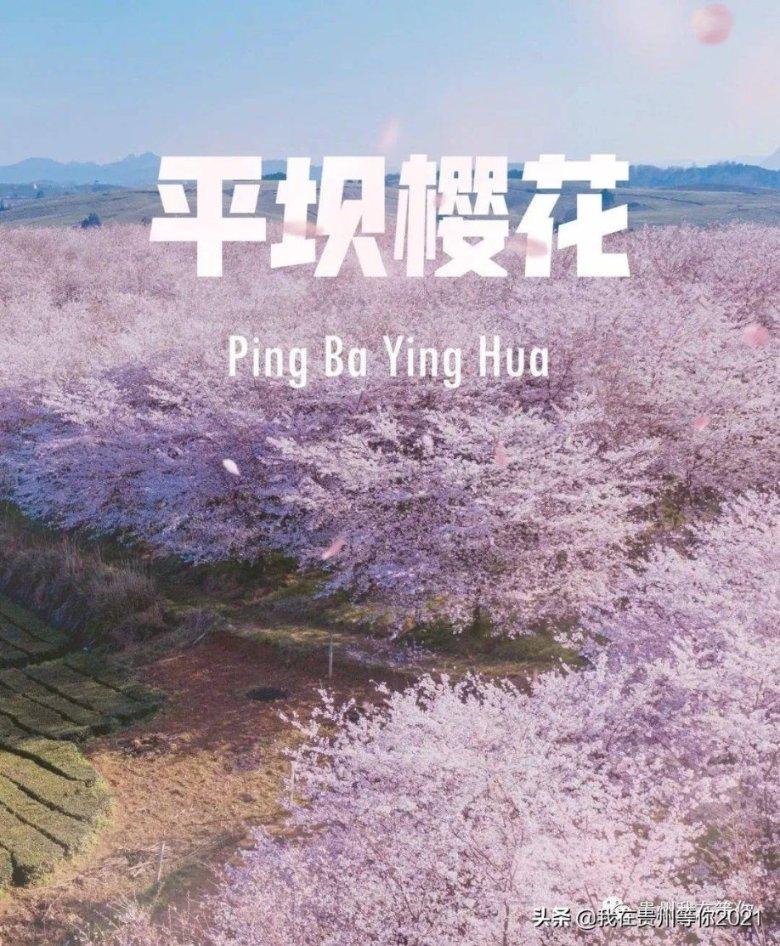 升空的愤怒奶奶